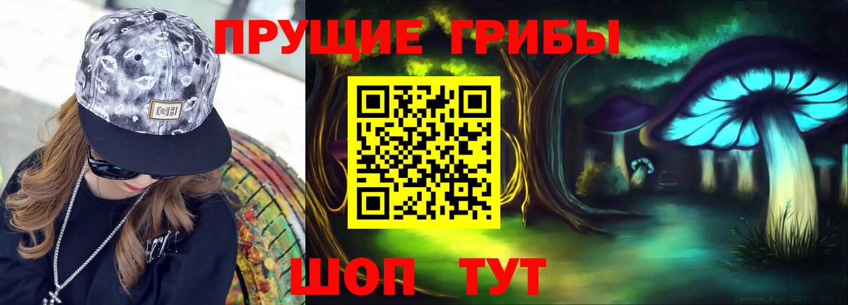 Галлюциногенные грибы Psilocybe  Вход с VPN  Фрязино 