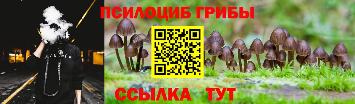 Галлюциногенные грибы MAGIC MUSHROOMS Фрязино